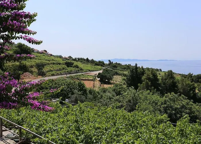 Iva Mokalo Apartamento *